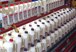 exhibidores de leche refrigerada en los escaparates de productos lácteos de los supermercados