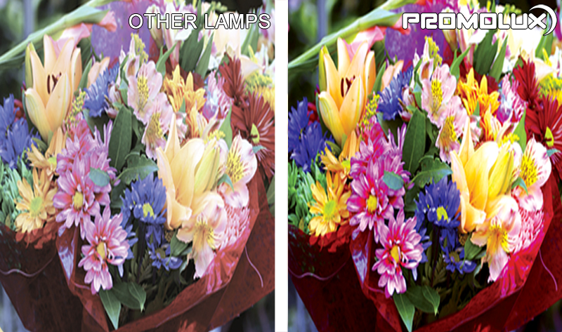 Floral-Side-by-Side-Comparison-4