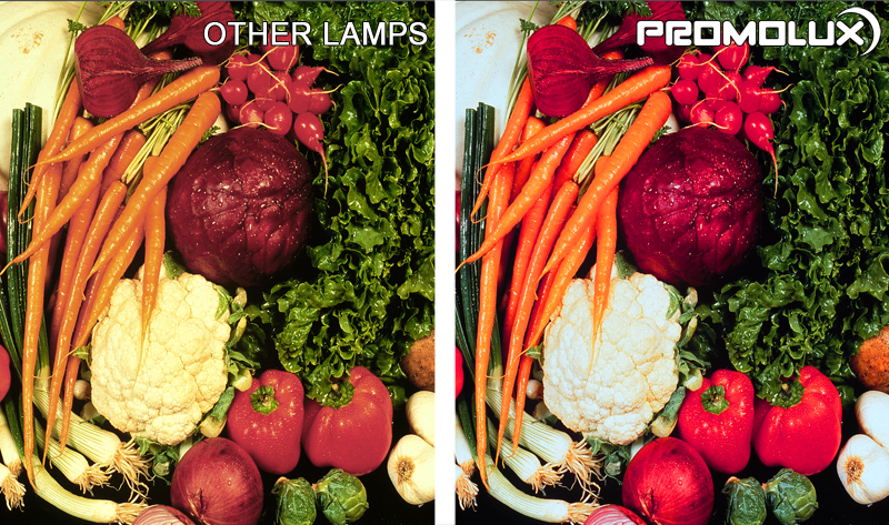 Produce-Side-by-Side-Comparison-1-webi
