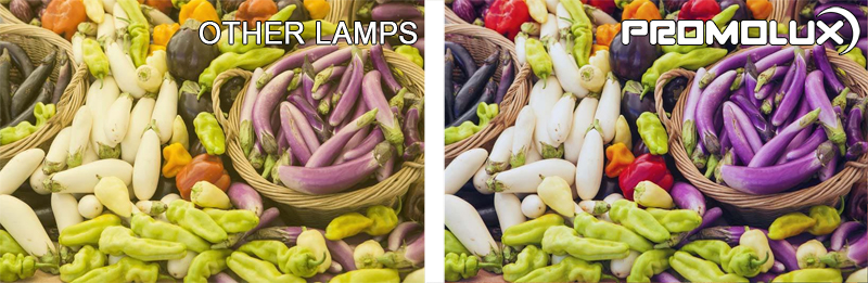 Produce-Side-by-Side-Comparison-6-web