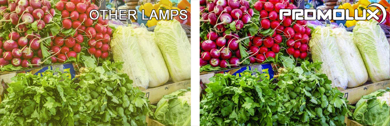 Produce-Side-by-Side-Comparison-7-web