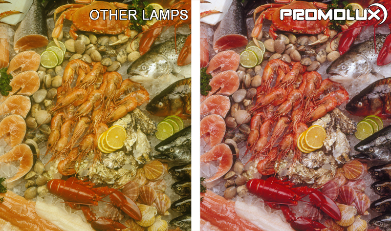 Seafood-Side-by-Side-Comparison-1-web