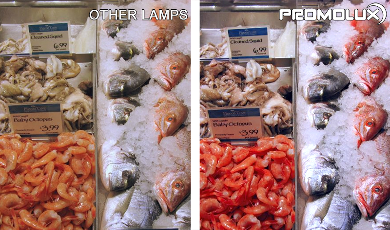 Seafood-Side-by-Side-Comparison-2-web