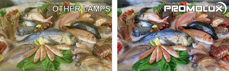Seafood-Side-by-Side-Comparison-4-web